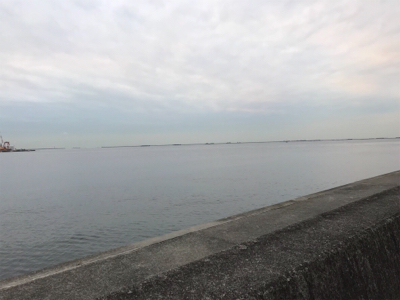 ナイロンリーダーでタチウオゲット！