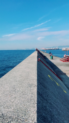 秋の青物狩れず。。