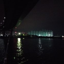 そう毎日釣れるわけはないか