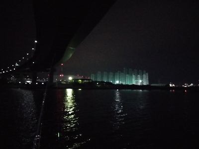 そう毎日釣れるわけはないか