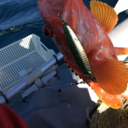 マイボートで紀北ジギング釣行