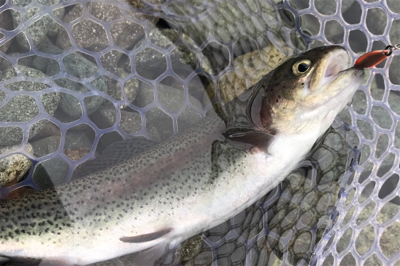 1Hit1ルアー縛り