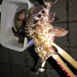 灘浜でライトゲーム