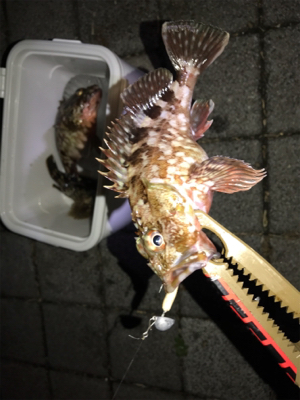 灘浜でライトゲーム