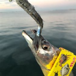 リレーでタチウオ3本ゲット ウキ→ルアー→テンヤ