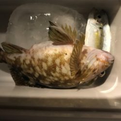 灘浜ライトゲーム