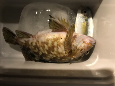 灘浜ライトゲーム