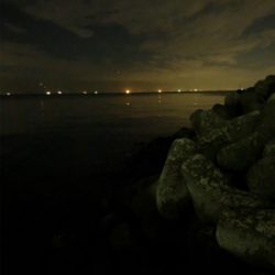 ひさひざナイトフィッシュ