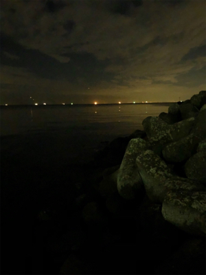 ひさひざナイトフィッシュ