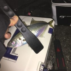 朝まずめ狙いで