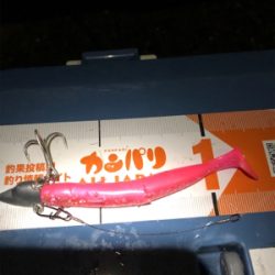 夕まずめ１時間タチ勝負