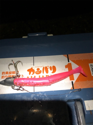 夕まずめ１時間タチ勝負