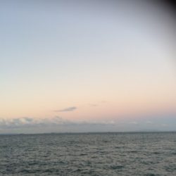 やっとドラゴン釣れました