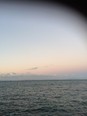 やっとドラゴン釣れました