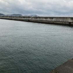 小雨の中、諦めずに頑張った…。