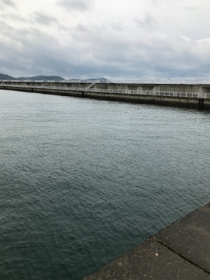 小雨の中、諦めずに頑張った…。