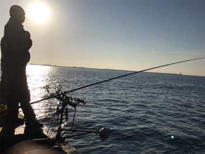 ゲキ渋メジロ釣行