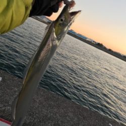 安定のタッチポン 陸