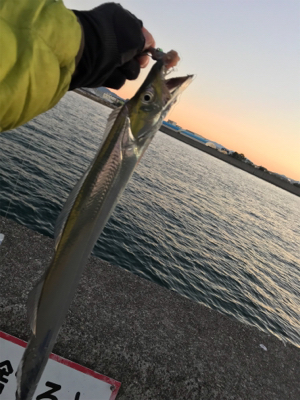 安定のタッチポン 陸