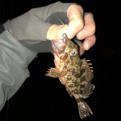 初牛深ライトゲーム