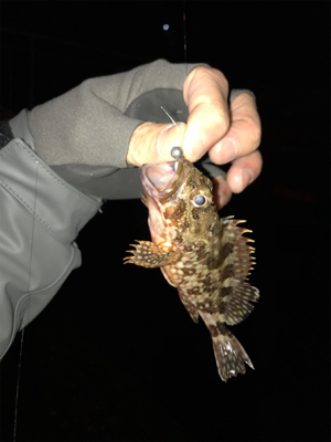 初牛深ライトゲーム