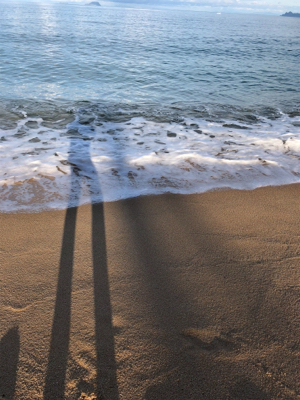 サーフシーバス