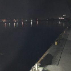 今夜は絶好調！