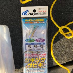 大在公共埠頭 ジグサビキ