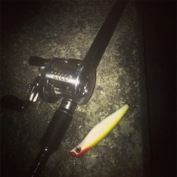 短時間で数釣り！