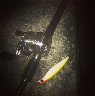 短時間で数釣り！