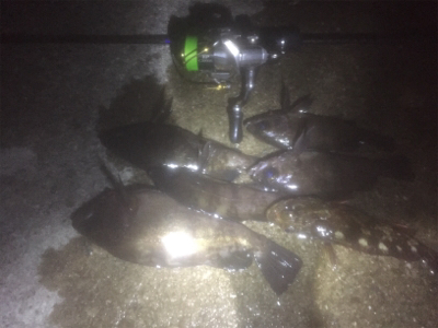 満月メバリング3days 2日目