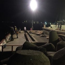 フィッシングホテルでタチウオと良型アジ