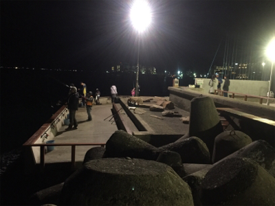 フィッシングホテルでタチウオと良型アジ