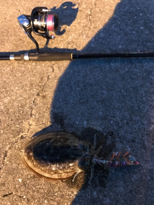 牛深ライトゲーム2