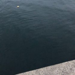 ロックフィッシュゲーム