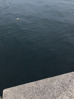 ロックフィッシュゲーム