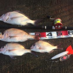 投げる・流す・スポン！