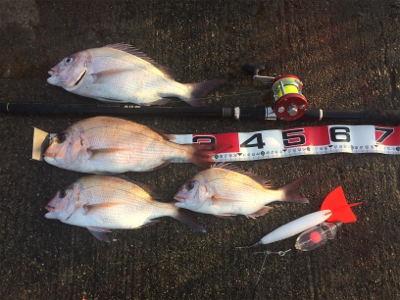 投げる・流す・スポン！