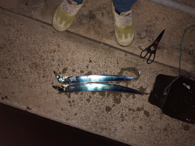 堺にてリベンジ