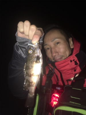 メバリングナイトゲーム☆GUNNING-S…