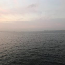 またほぼドラゴンゲット!