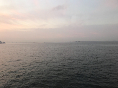 またほぼドラゴンゲット!