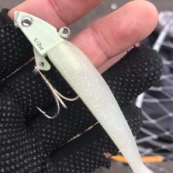 太刀魚撃沈、チビシーバス