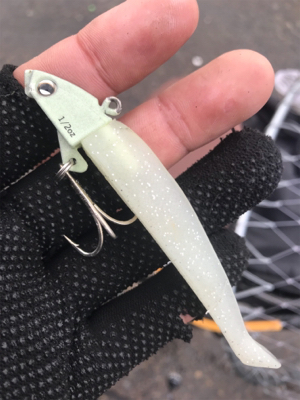 太刀魚撃沈、チビシーバス