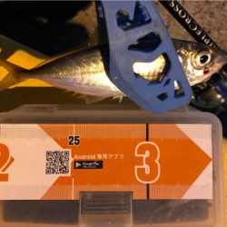 続ライトゲーム