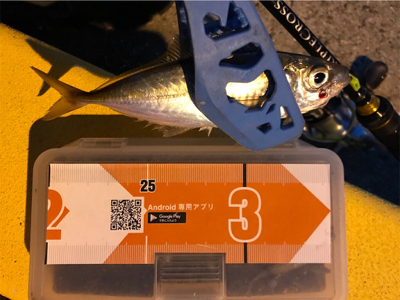 続ライトゲーム