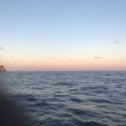 ヒラマサキャスティング