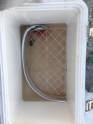 今年もあと何回いけるやろ、、、