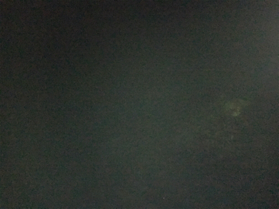 短時間アジング