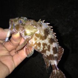 ナイトメバリング